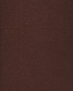 mainimage