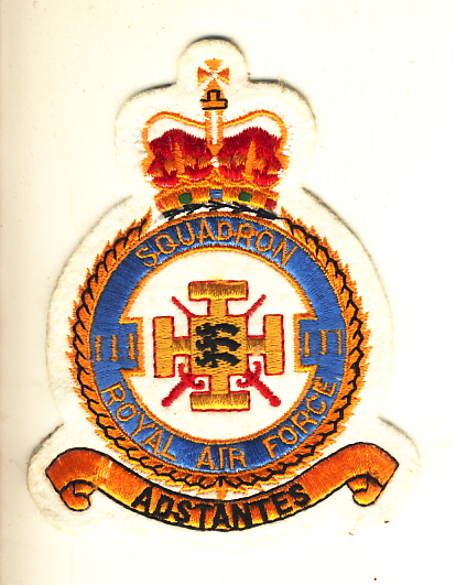Image not found :Squadron 111, Royal Air Force, 'Adstantes' (white, velvet)