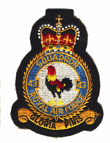 Image not found :Squadron 43, Royal Air Force, 'Gloria Finis' (velvet)