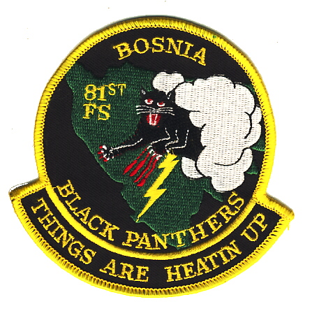 Image not found :81st FS, Bosnia-Black Panthers-Patience My Ass-I wanna kill somet