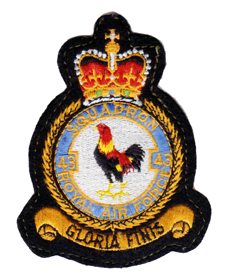 Image not found :Squadron 43, Royal Air Force, 'Gloria Finis' (velvet)