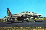 Image not found :Northrop NF-5B (K-4024)