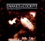 Image not found :Snakes in the Cockpit, Images of Military Aviation Disasters