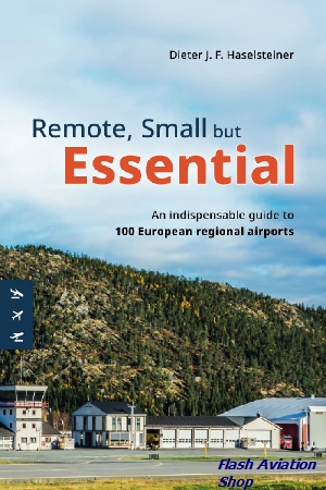 Image not found :Remote, Small but Essential