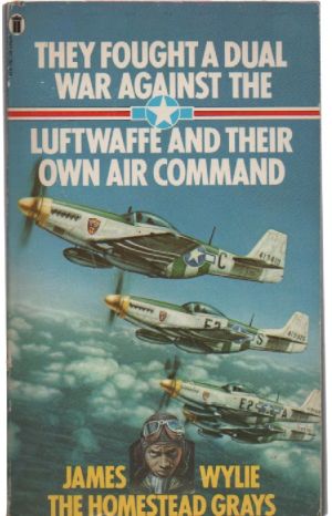 Image not found :They Fought a Dual War against the Luftwaffe and their own Command