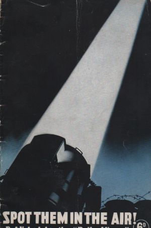 Image not found :Spot them in the Air! (6 d)