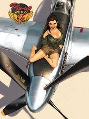 Image not found :Pin Up Wings 3 (Silvester)