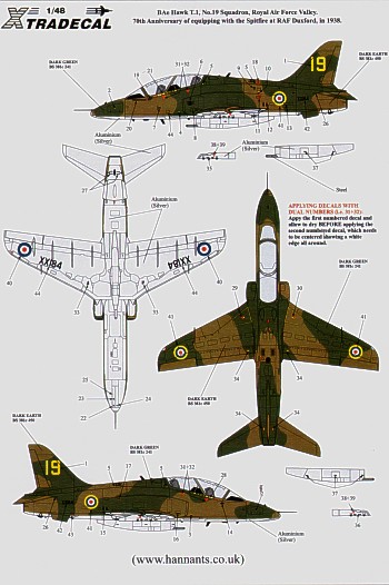 Image not found :BAe Hawk T.1 (1) XX184 19 Sqn RAF Valley 2008. 70th Anniversary of equipping with the Spitfire 1938. Painted with the Sp