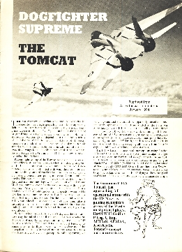 Image not found :Dogfight Supreme; the Tomcat (Air Enthusiast jan.1974 repr)