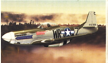 Image not found :(8005) P-51 Mustang 'Hunter Texas', USAAF