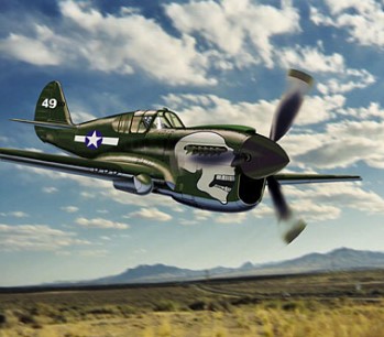 Image not found :P-40N Warhawk 'Joanne', USAAF