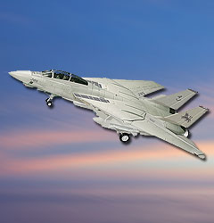 Image not found :F-14 Tomcat 'Black Lions' Last Mission