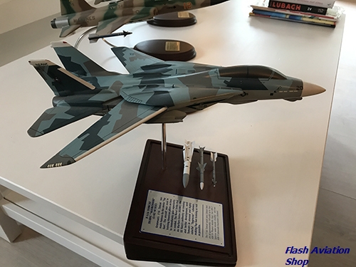 Image not found :F-14A Tomcat with weapon display