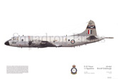 Image not found :P-3C Orion