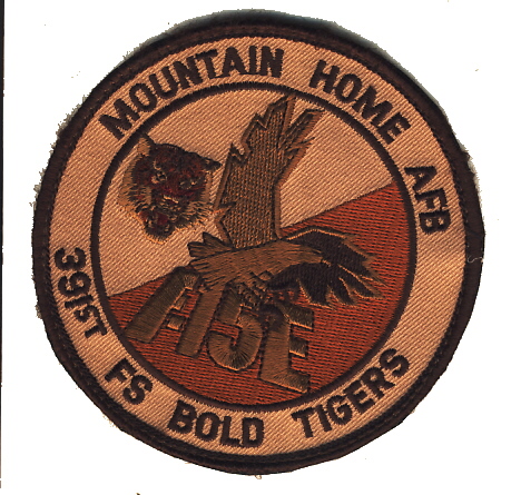 Image not found :391st FS, Bold Tigers, Mountain Home AFB, F-15E (Desert, velcro)