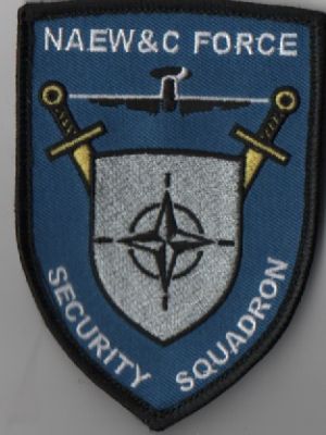 Image not found :NAEW&C FORCE SECURITY SQUADRON (MEERKLEURIG)