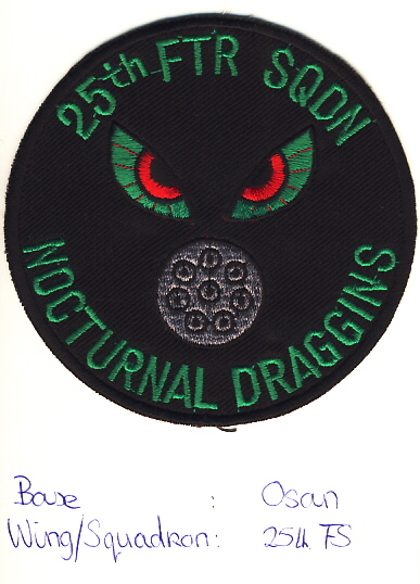 Image not found :25th FTR SQDN, Nocturnal Draggins