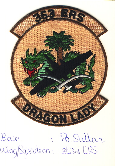 Image not found :363 ERS, Dragon Lady (Desert)