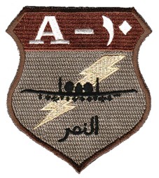 Image not found :A-10 (Desert)