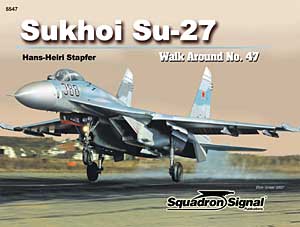 Image not found :Su-27 Flanker Walk Around