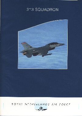 Image not found :313 squadron