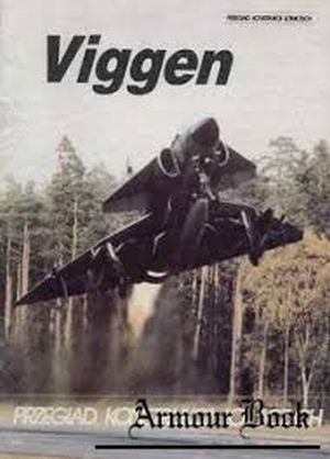 Image not found :    Viggen